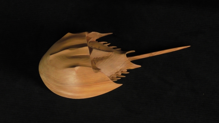 Horseshoe Crab. Yew. Lifesize.