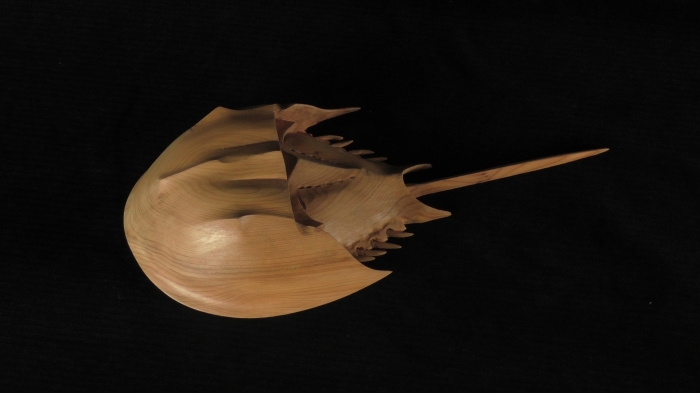 Horseshoe Crab Table - Detail