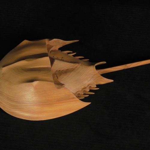 Horseshoe Crab. Yew. Lifesize.