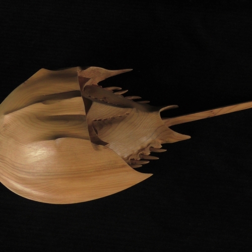 Horseshoe Crab Table - Detail